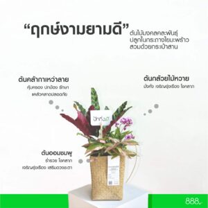 ฤกษ์งามยามดี