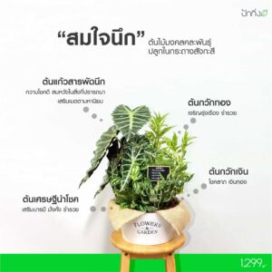 สมใจนึก