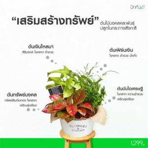 เสริมสร้างทรัพย์