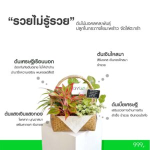 รวยไม่รู้รวย