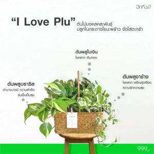 I Love Plu