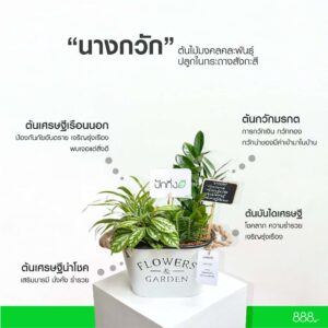 นางกวัก
